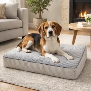 Soft Orthopedic Dog Bed, Elevated 4" Cushion - Machine Washable, Small